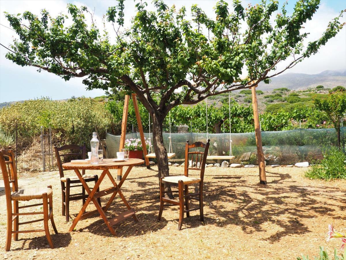 Traditional Cretan Villa Rodhopos Eksteriør bilde