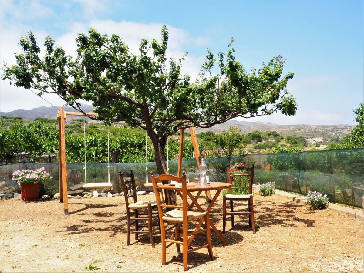 Traditional Cretan Villa Rodhopos Eksteriør bilde